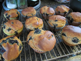 Gluten Free no-refined sugar Blueberry Muffins