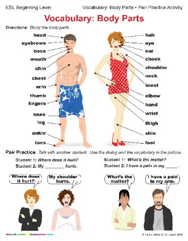 Grammar Foundations Body Parts Vocabulary