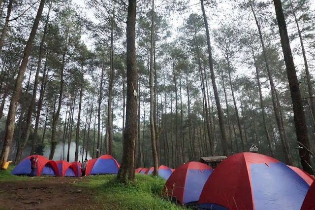 Tempat Camping Terpopuler di Cikole Lembang Bandung - Paket Camping Murah