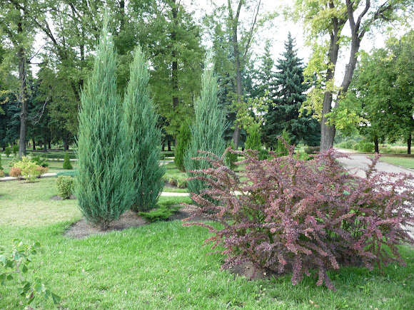 Донецк. Ботанический сад