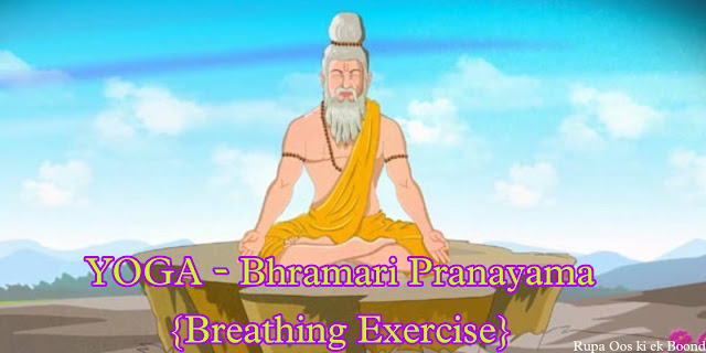 योग प्राणायाम - भ्रामरी प्राणायाम  || YOGA - Bhramari Pranayama {Breathing Exercise} ||