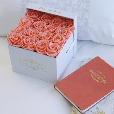 luxury preserved roses