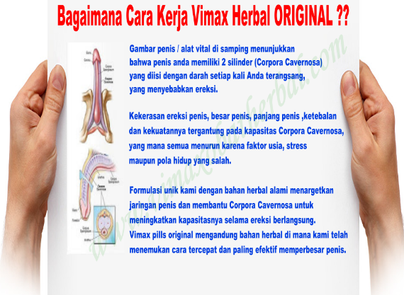 Vimax Di Medan