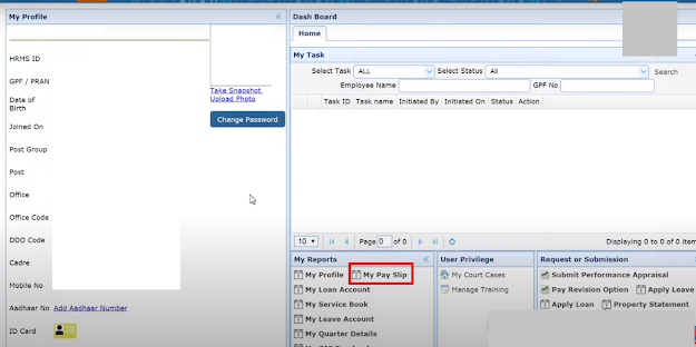 HRMS Odisha Payslip