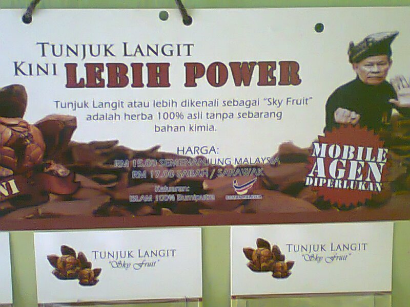 Wanieda's Collections: HERBA BUAH TUNJUK LANGIT!!