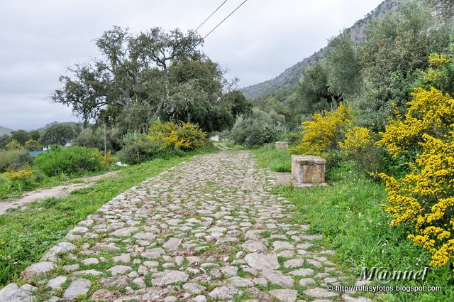 Nacimiento del arroyo Garciago