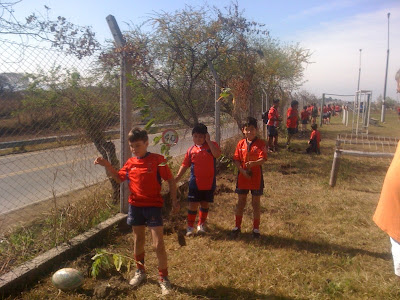 suri rugby club jujuy suricitos norterugby