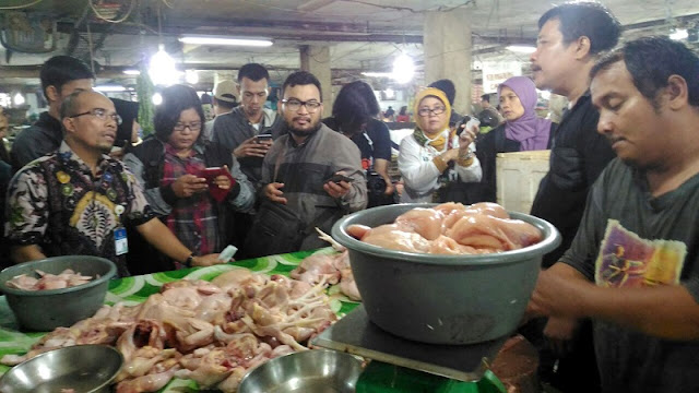 Harga Ayam Pedaging 2017 Melonjak Naik