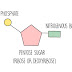 DNA: The Code of Life - Grade 12 (CAPS)