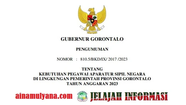 Penetapan Rincian Formasi Kebutuhan ASN PPPK Provinsi Gorontalo Tahun 2023 pdf