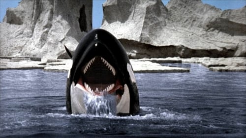 Orca, la ballena asesina (1977)