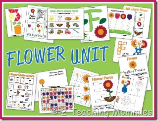 FlowerUnitImage-1