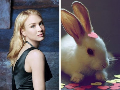 Funny - Similarity Between Celebrities And Animals