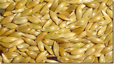 Recetas para Adelgazar con Alpiste1