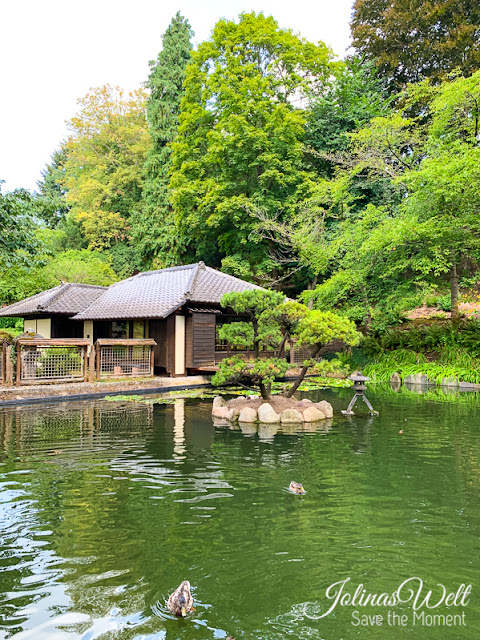 Japanischer Garten Kaiserslautern Teetempel