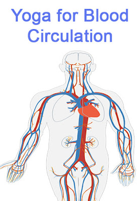 how to increase blood circulation