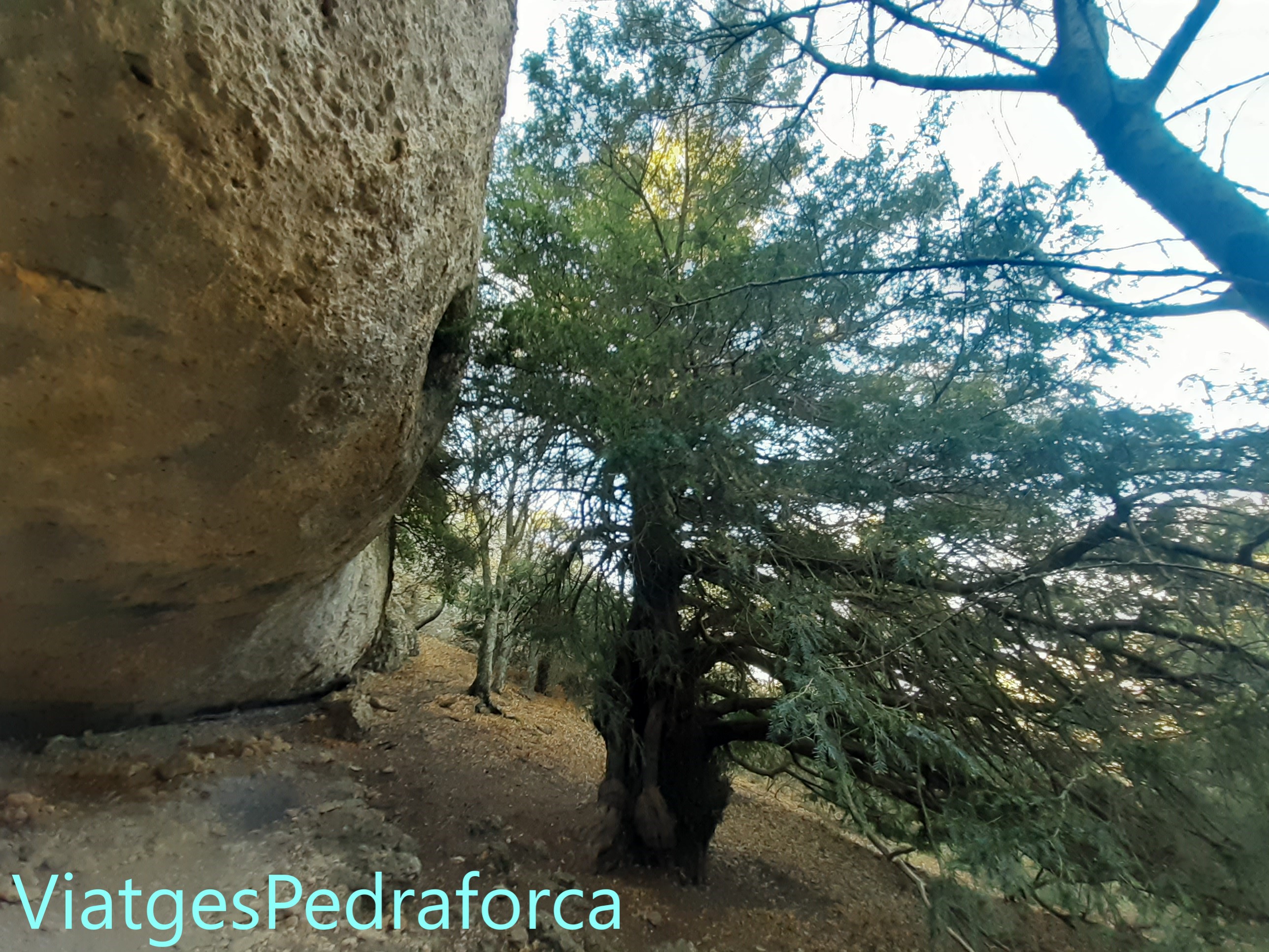 Parc Natural de la Serra de Montsant, Priorat, senderisme, Tarragona, Catalunya