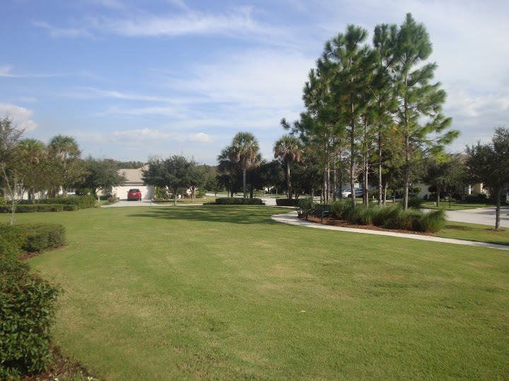 Seven Oaks homes for sale Wesley Chapel