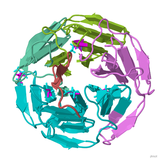 Structure of the Keap1:Nrf2 interface