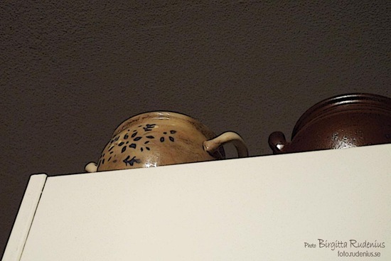diverse_20111022_krus