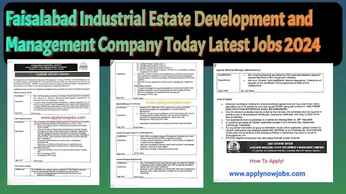 Faisalabad Industrial Estate Development and Management Company Jobs 2024