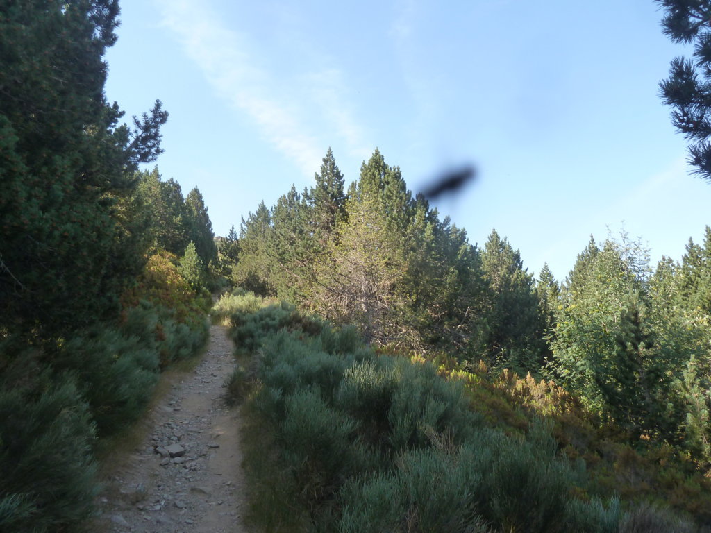 PICO DEL LOBO (2.274m) y Alto de las Mesas, 2.257m (La cúspi P1230719%20%28FILEminimizer%29