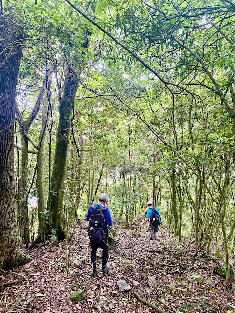 遠藤山東峰下山途中