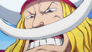 ワンピースアニメ 963話 白ひげ海賊団 ONE PIECE Episode 963