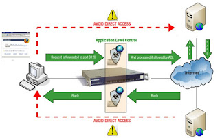 Web Access with HTTPS Proxy