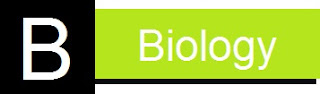 Explain the link between respiration nutrition and circulation