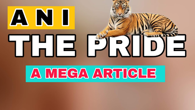 THE PRIDE | A MEGA ARTICLE |