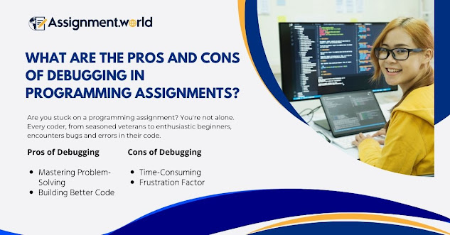What are the Pros and Cons of Debugging in Programming Assignments?
