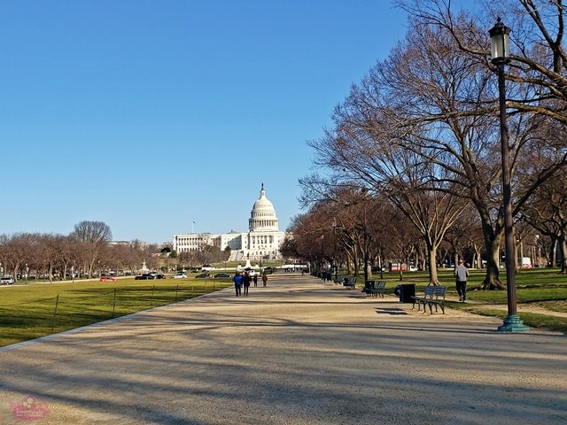 O que visitar no National Mall em Washington