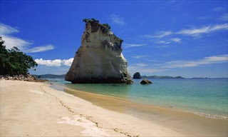 New Zealand Beach Wallpaper