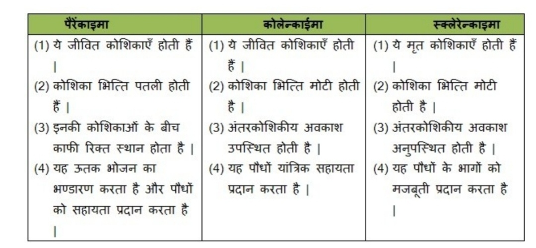 कोशिका भित्ति के आधार पर पैरेन्काइमा , कॉलेन्काइमा और स्क्लेरेन्काइमा के बीच भेद स्पष्ट करें ।