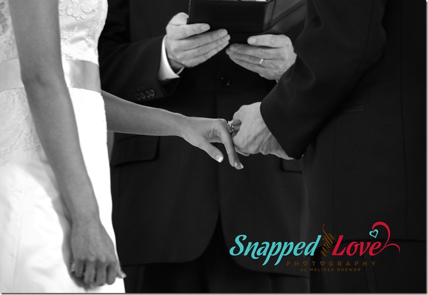 LOGOEDITJarvis Wedding (333)