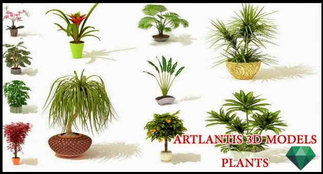 Plants