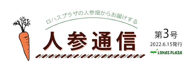 人参通信　愛媛県西条市で農薬不使用・無農薬の有機人参栽培