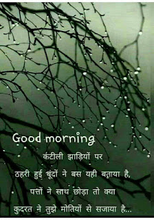 good morning shayari in hindi|गुड मॉर्निंग शायरी