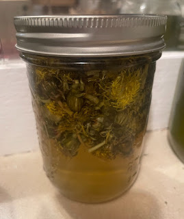 Dandelion Vinegar