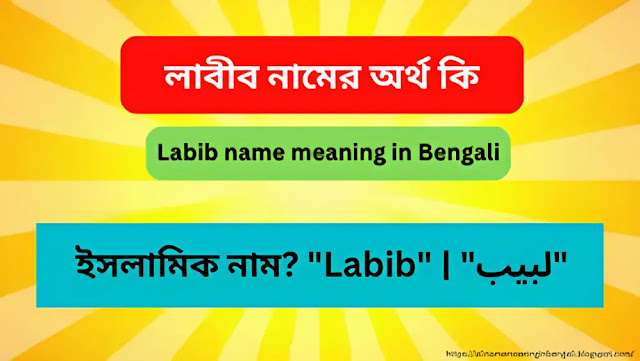 লাবীব নামের অর্থ কি | Labib name meaning in Bengali