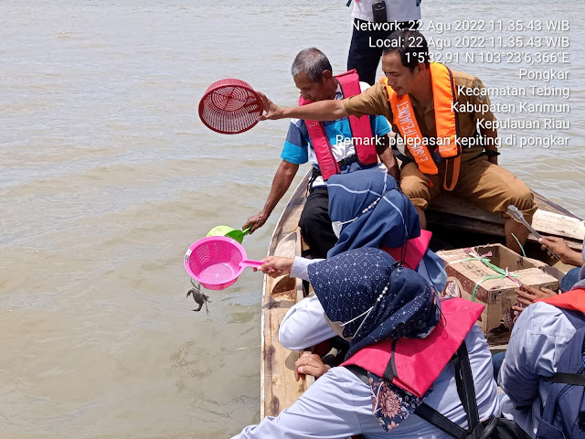 PT Timah Tbk Bersama Masyarakat Lepas Ratusan Anakan Kepiting ke Kawasan Mangrove di Desa Pongkar