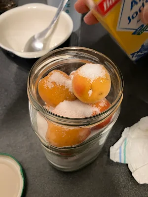 アプリコットで梅干しを作る