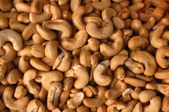 JUAL KACANG METE :: Grosir Kacang Mete Mentah dan Goreng