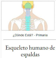 https://cienciasnaturales.didactalia.net/recurso/esqueleto-humano-de-espaldas-primaria/8bcaf93a-1bcf-410d-b7bc-177081d9a5dd