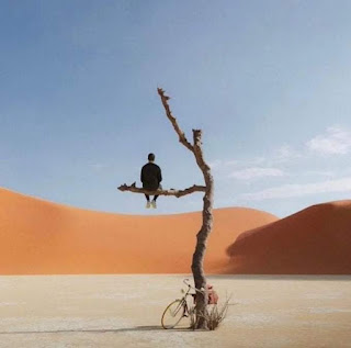 صورة