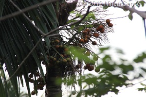 IMG_1776