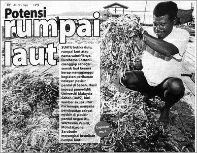 Rumpai Laut Kolagen Asli Semporna, Sabah: Rumpai Laut 