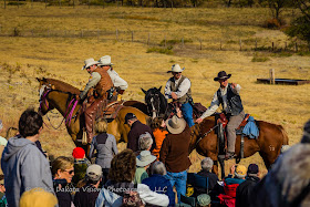 2012 Custer State Park Buffalo Roundup by Dakota Visions Photography LLC www.dakotavisions.com