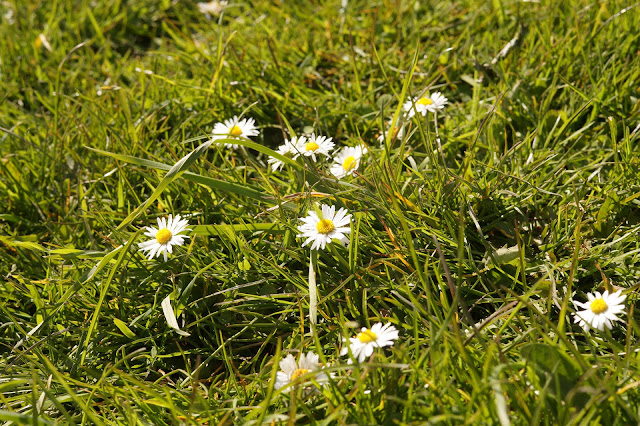 Spring in Norfolk